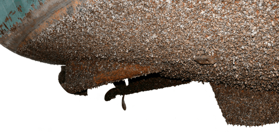 Without Anti Fouling System