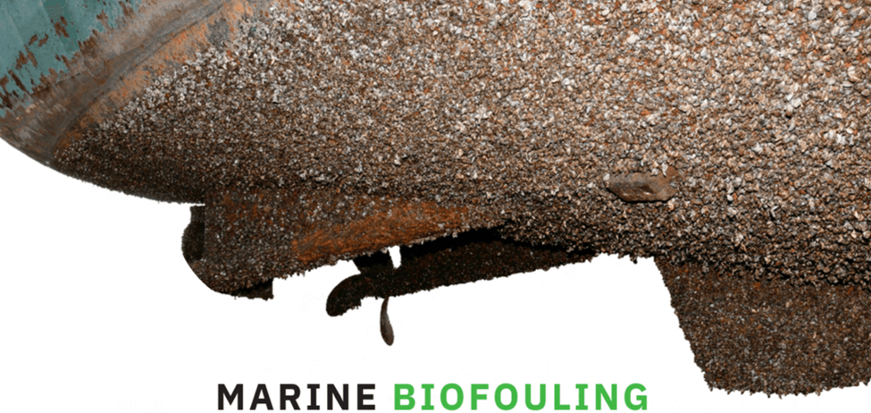 Without Anti Fouling System