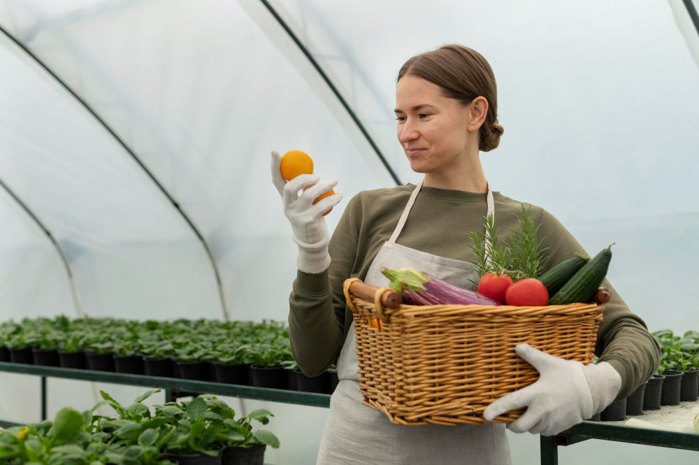 Post‑Harvest Disinfection